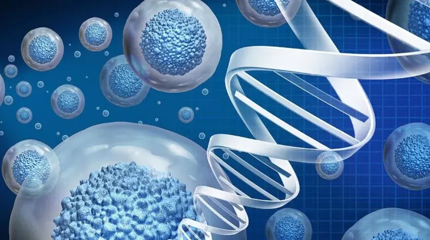 Tissue engineering and biotechnology concepts for engineering college learners