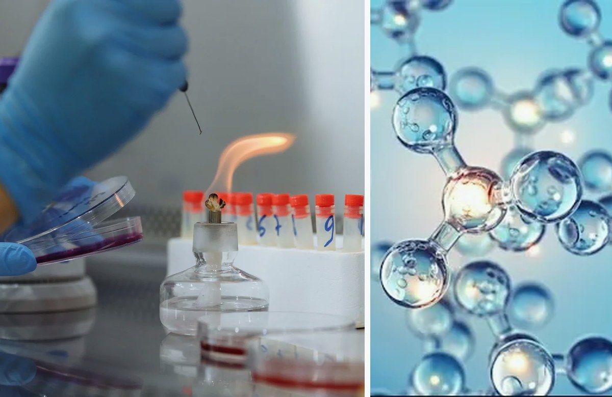 Biotechnology program questions and academic guidance