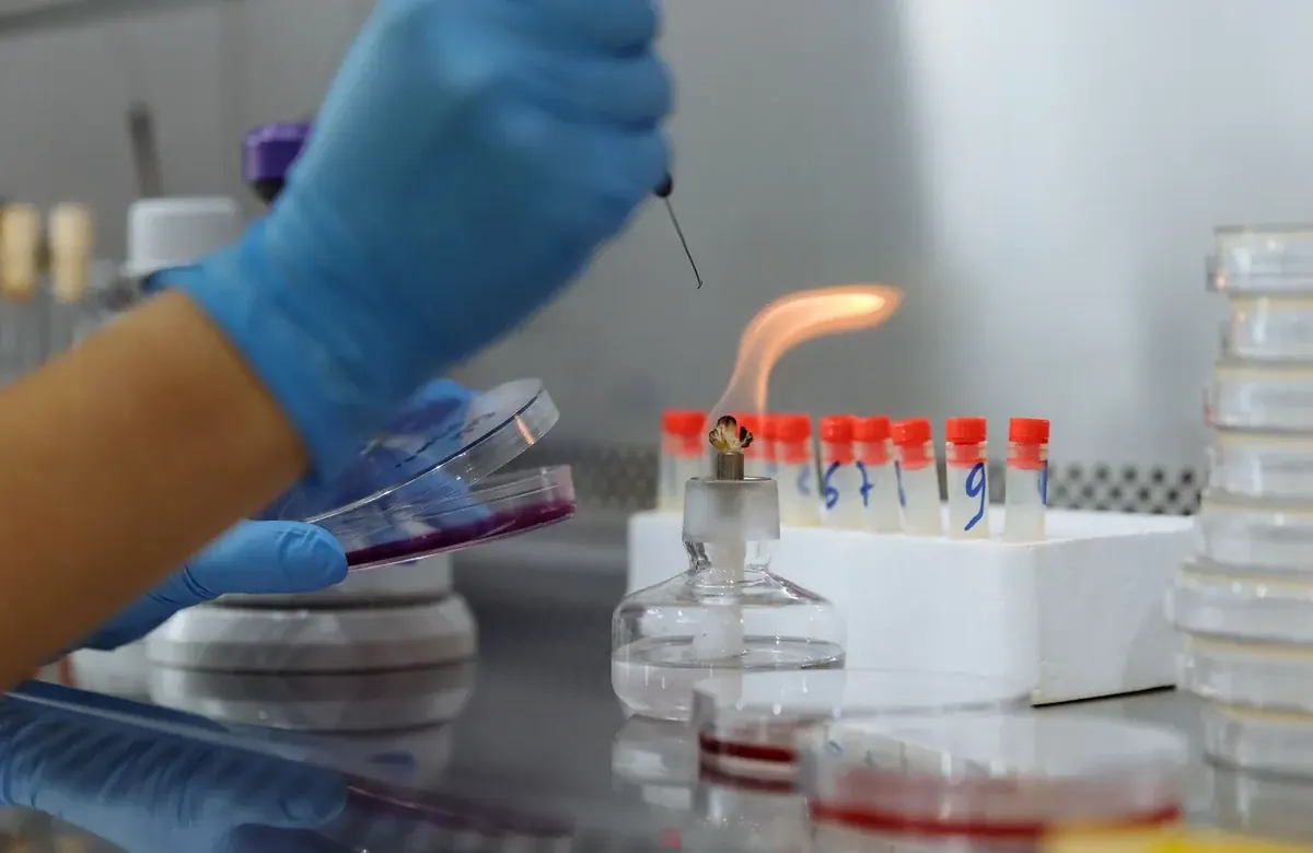 Biotechnology workshop with practical laboratory sample handling