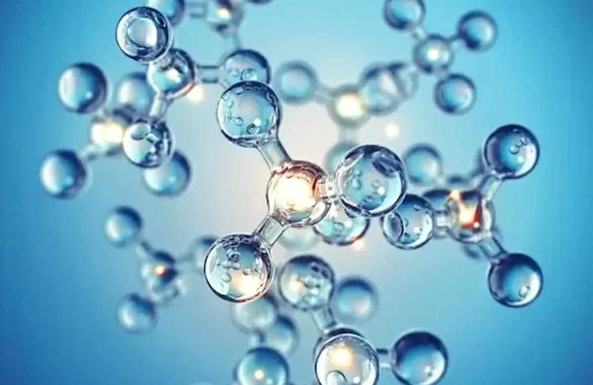 Molecular and biochemical analysis concepts