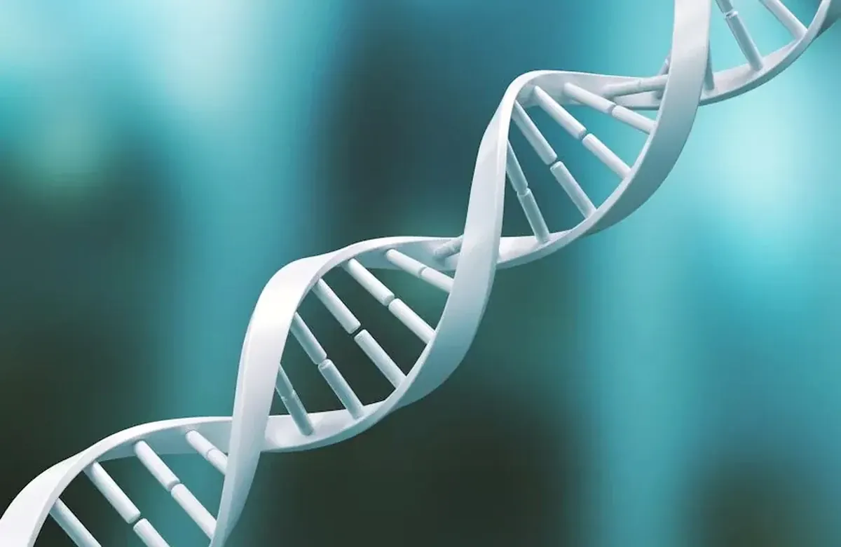 DNA sequence and bioinformatics analysis foundations