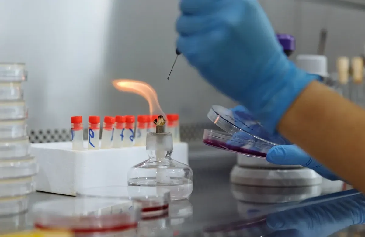 Students learning cell and tissue engineering laboratory concepts