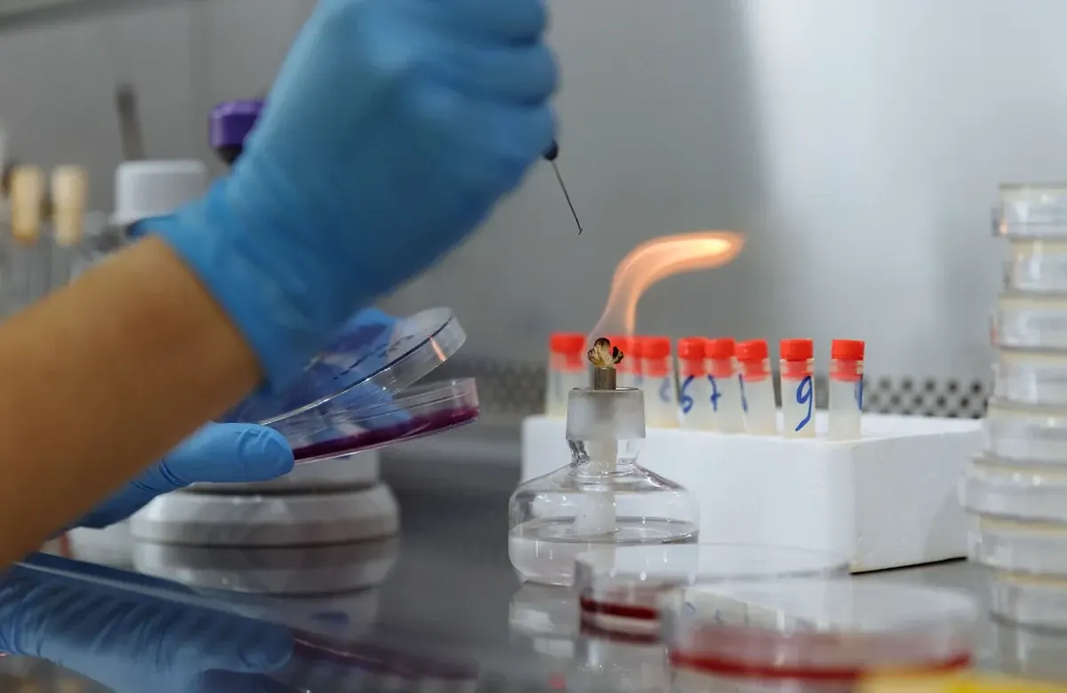 Marine and natural product biotechnology project questions and guidance