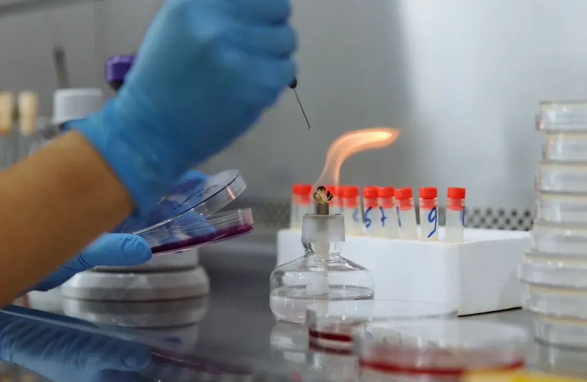 Nanotechnology and materials science project questions and guidance