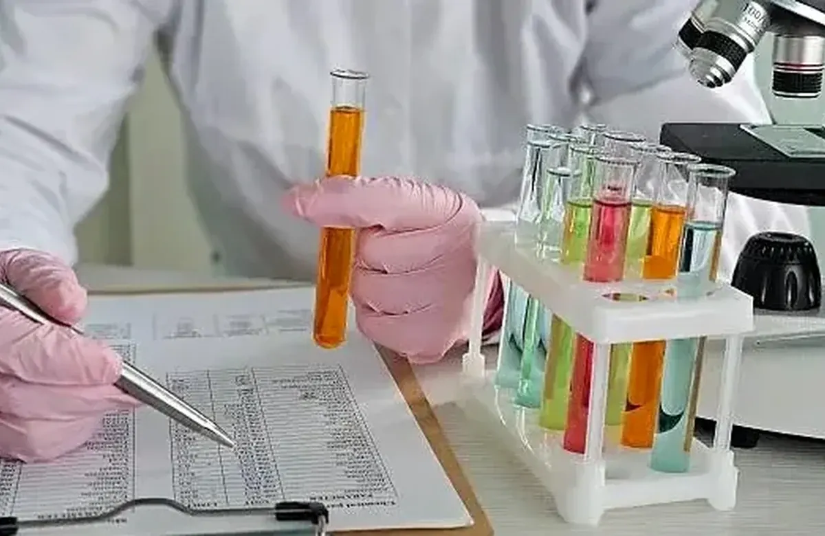 Cell and tissue engineering project questions and guidance