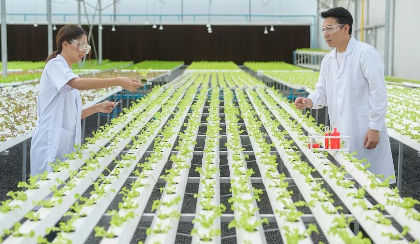 Food and agricultural biotechnology internship