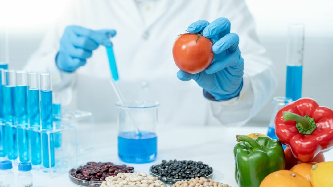 Food biotechnology and fermentation research