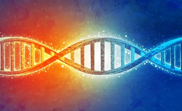 Genetics and DNA research training in biotechnology