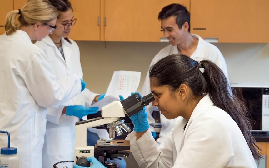 Biotechnology internship students working in laboratory Chennai