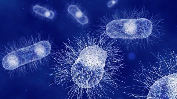 Microbiology research and microbial studies