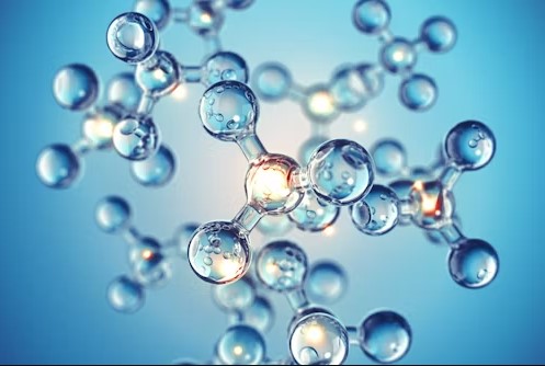 Molecular biology lab and protein research