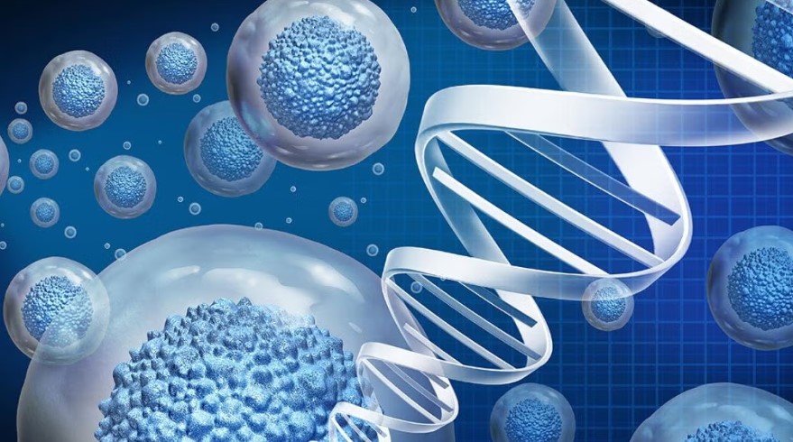 Cell and tissue engineering training